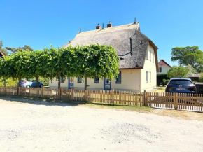 Ferien unterm Reet in Prerow